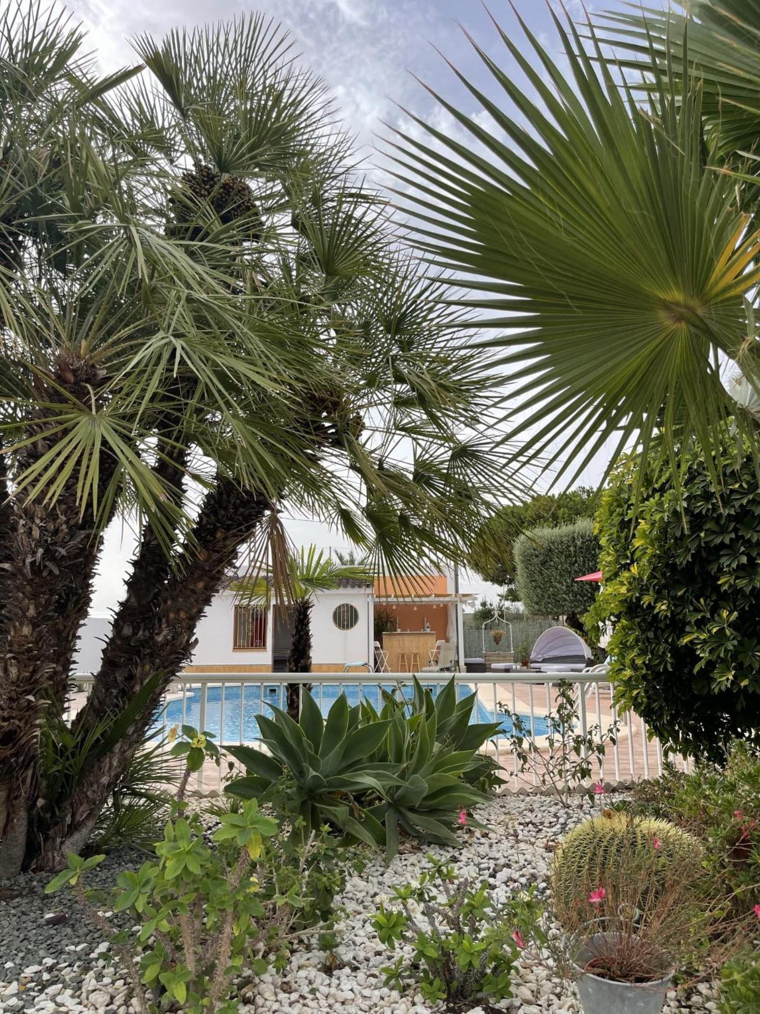 Romantico Wellness Casa Veronica Elche Exterior photo