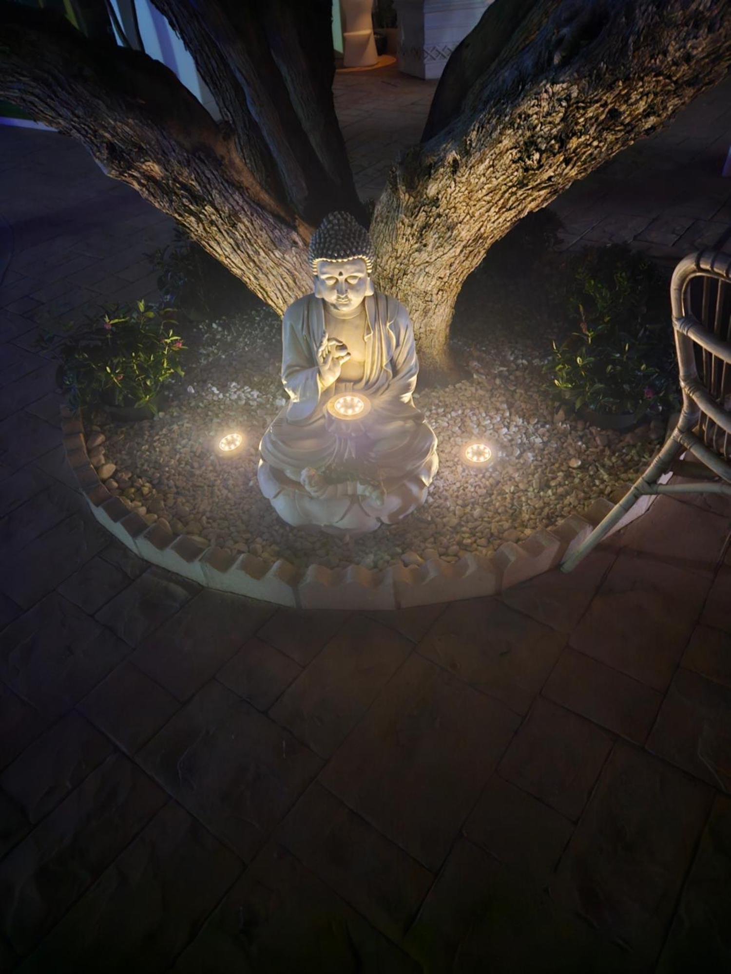 Romantico Wellness Casa Veronica Elche Exterior photo
